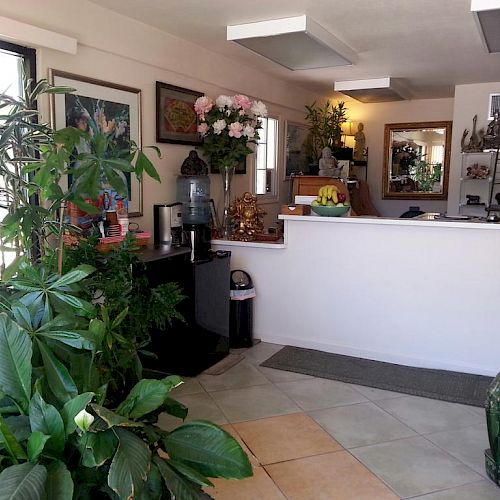 The image shows a welcoming office lobby with plants, a white counter, and various decorative items, creating a pleasant and inviting atmosphere.