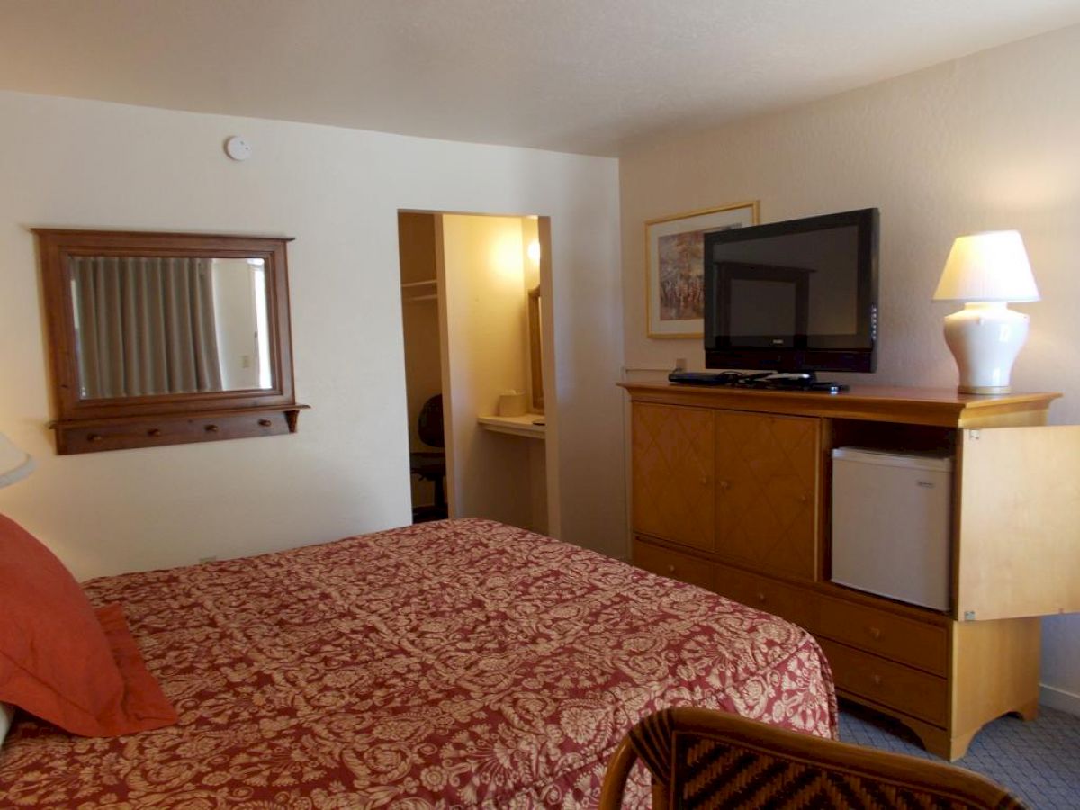 A cozy hotel room with a patterned bedspread, a TV on a dresser, a table lamp, a mirror, and an open closet.