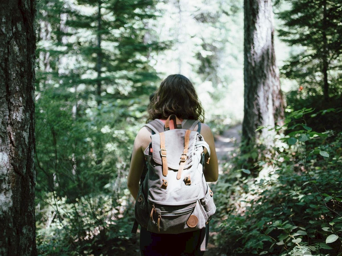 A person is hiking through a dense forest with a backpack, following a trail. The scene is lush with greenery and trees, suggesting a peaceful environment.